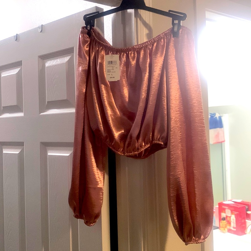 Metallic pink crop top with loose long sleeves, from Windsor, size large..